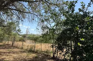 1508 N Hill St, Three Rivers, TX 78071 - Photo 17