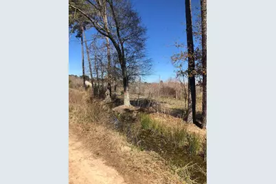 1753 Country Road 301 S, Dayton, TX 77535 - Photo 17