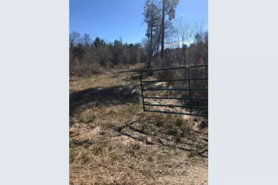 1753 Country Road 301 S, Dayton, TX 77535 - Photo 13