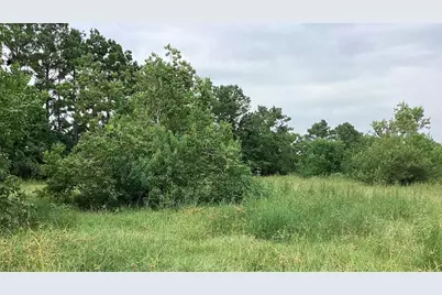 0 County Road 758, Rosharon, TX 77583 - Photo 9