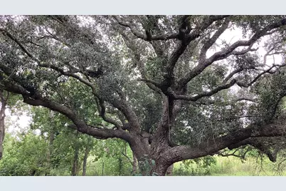 0 County Road 758, Rosharon, TX 77583 - Photo 21