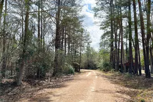 00000 Fm 1746, Spurger, TX 77660 - Photo 1