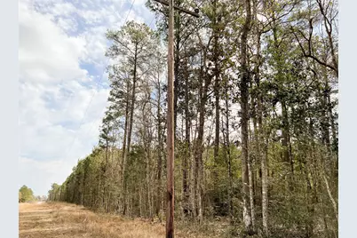 00000 Fm 1746, Spurger, TX 77660 - Photo 3