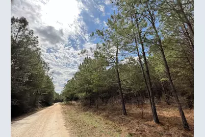 00000 Fm 1746, Spurger, TX 77660 - Photo 15