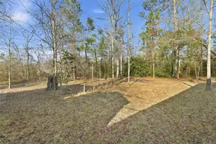 160 Scarlett Dr, Shepherd, TX 77371 - Photo 7