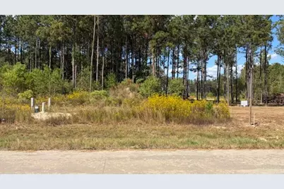 1369 Road 5890, Cleveland, TX 77327 - Photo 9