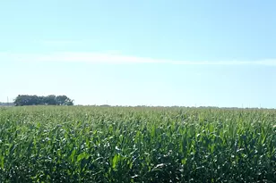 0 County Road 424, El Campo, TX 77437 - Photo 1