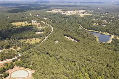 4970 Deep Forest Trail, Navasota, TX 77868 - Photo 3