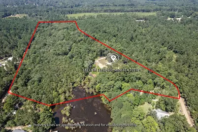 334 County Road 3190, Colmesneil, TX 75938 - Photo 29