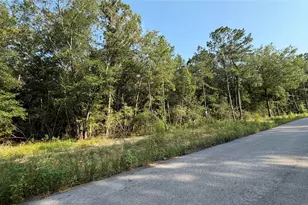 205 County Rd 6311, Dayton, TX 77535 - Photo 1