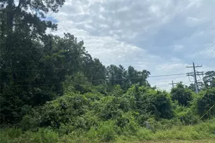 10 Redbud Dr, Conroe, TX 77302 - Photo 5