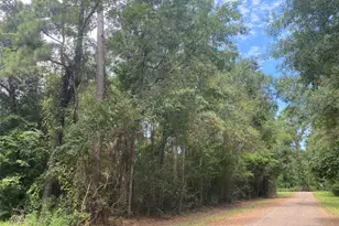 10 Redbud Dr, Conroe, TX 77302 - Photo 7