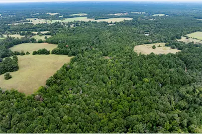 22 Acr Private Road 5040, Grapeland, TX 75844 - Photo 5