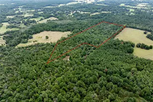 22 Acr Private Road 5040, Grapeland, TX 75844 - Photo 1