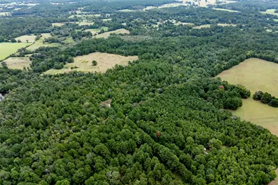 22 Acr Private Road 5040, Grapeland, TX 75844 - Photo 11