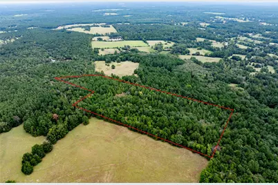 22 Acr Private Road 5040, Grapeland, TX 75844 - Photo 7