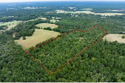 22 Acr Private Road 5040, Grapeland, TX 75844 - Photo 3