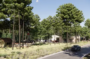 11662 Hooting Owl Dr, Montgomery, TX 77316 - Photo 9