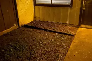 12008 Mighty Oak Dr, Houston, TX 77066 - Photo 15