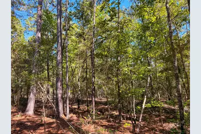 Tbd County Road 4260, Woodville, TX 75979 - Photo 9