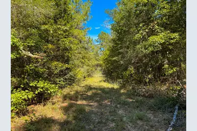 Tbd County Road 4260, Woodville, TX 75979 - Photo 33