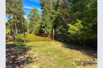 Tbd County Road 4260, Woodville, TX 75979 - Photo 1