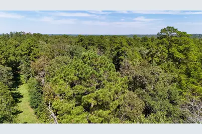 Tbd County Road 4260, Woodville, TX 75979 - Photo 25