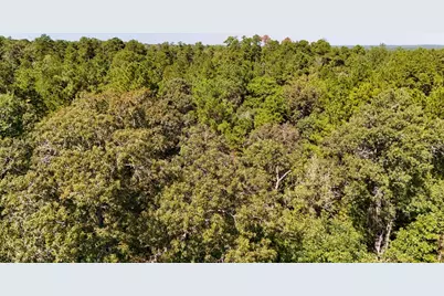 Tbd County Road 4260, Woodville, TX 75979 - Photo 11