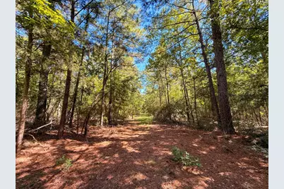 Tbd County Road 4260, Woodville, TX 75979 - Photo 7