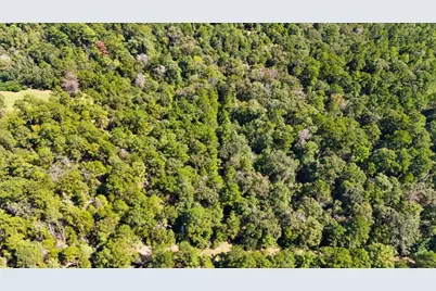 Tbd County Road 4260, Woodville, TX 75979 - Photo 17
