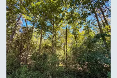 Tbd County Road 4260, Woodville, TX 75979 - Photo 3
