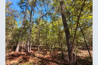 Tbd County Road 4260, Woodville, TX 75979 - Photo 27