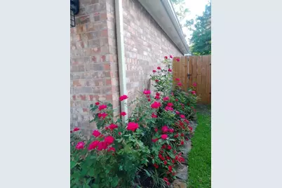 18719 Candle Park Drive, Spring, TX 77388 - Photo 25