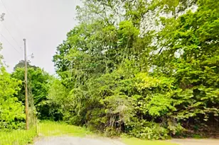 0 Harrison St, Livingston, TX 77351 - Photo 1