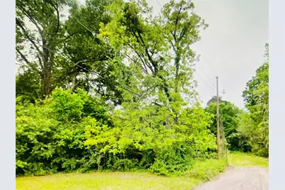0 Harrison Street, Livingston, TX 77351 - Photo 3