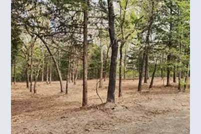 0 County Road 4710 Lot 465, LaRue, TX 75770 - Photo 3