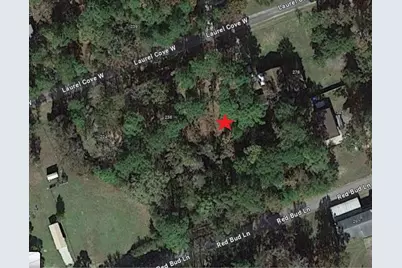 0 Laurel Cove W, Onalaska, TX 77360 - Photo 3