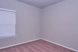 31339 Spotted Saddle Hollow, Fulshear, TX 77441 - Photo 11