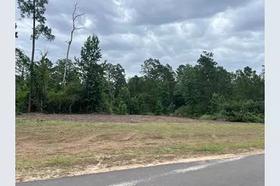 11544 Inspiration Drive, Willis, TX 77378 - Photo 25