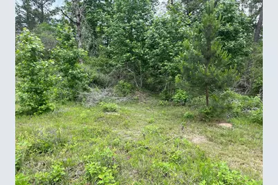 11544 Inspiration Drive, Willis, TX 77378 - Photo 3