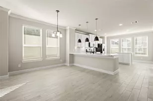 11417 Lucky Fls Dr, Houston, TX 77047 - Photo 9