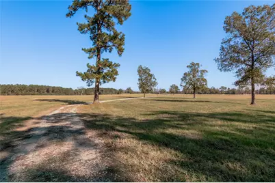 5316 N Sh 19 N, Trinity, TX 75862 - Photo 31