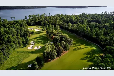 313 Pine Brook Drive, Montgomery, TX 77356 - Photo 9