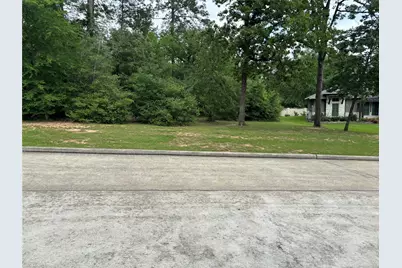 313 Pine Brook Drive, Montgomery, TX 77356 - Photo 5