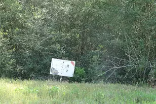 10774 Ruger Rd, Willis, TX 77378 - Photo 1