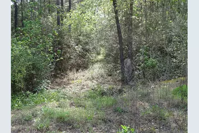 10774 Ruger Road, Willis, TX 77378 - Photo 7