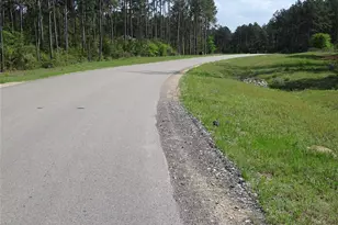 10774 Ruger Rd, Willis, TX 77378 - Photo 15