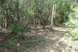 10774 Ruger Rd, Willis, TX 77378 - Photo 11