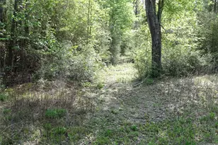 10774 Ruger Rd, Willis, TX 77378 - Photo 9