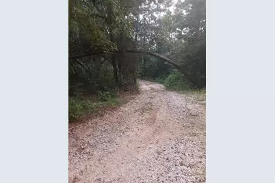 24140 Grand Pines Road, Magnolia, TX 77355 - Photo 5